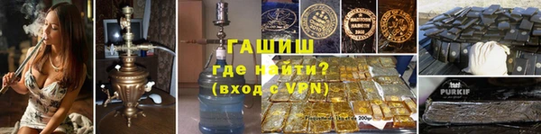 мдпв Бородино