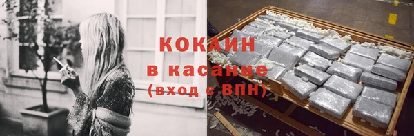 мдпв Бородино