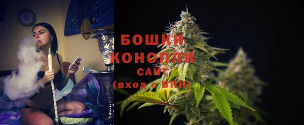 спиды Богданович