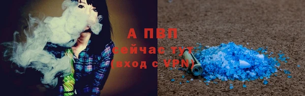 спиды Богданович