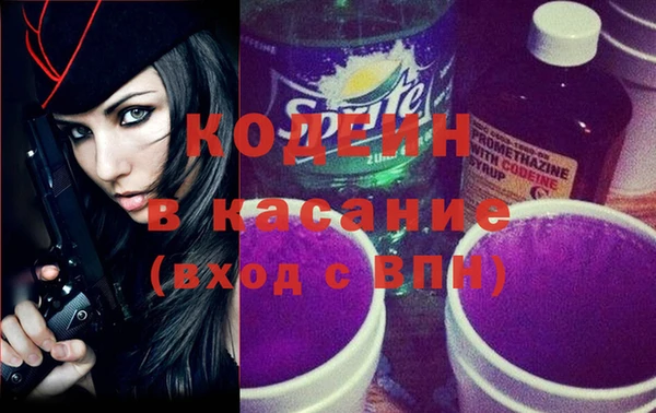 мдпв Бородино