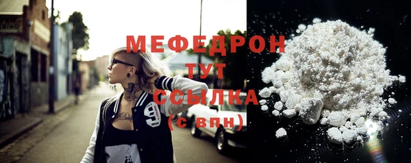 мдпв Бородино